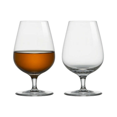 Sipping Snifter